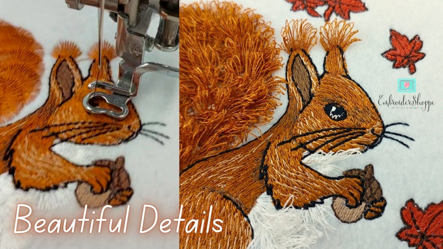 4 x 6 Cyril Squirrel