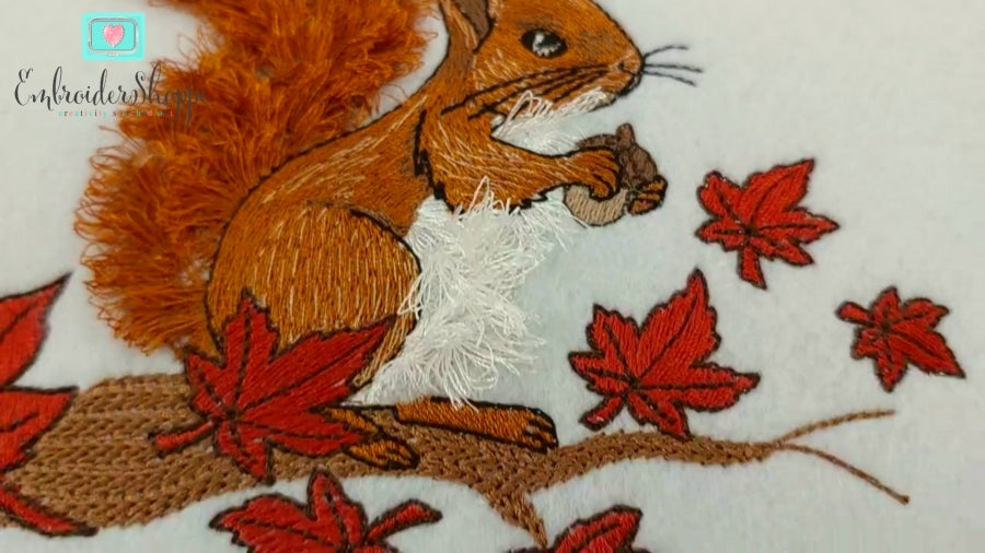 4 x 6 Cyril Squirrel