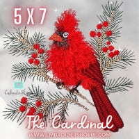 5 x 7 The Cardinal