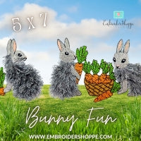 5 x 7 Bunny Fun