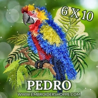 6 x 10 Pedro
