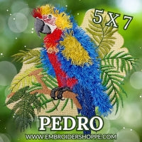 5 x 7 Pedro