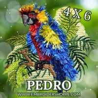 4 x 6 Pedro