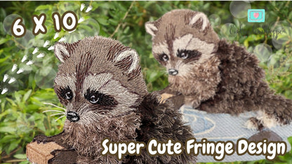 6 x 10 Walter Raccoon