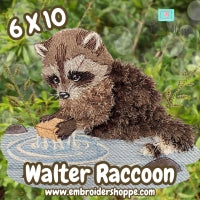 6 x 10 Walter Raccoon