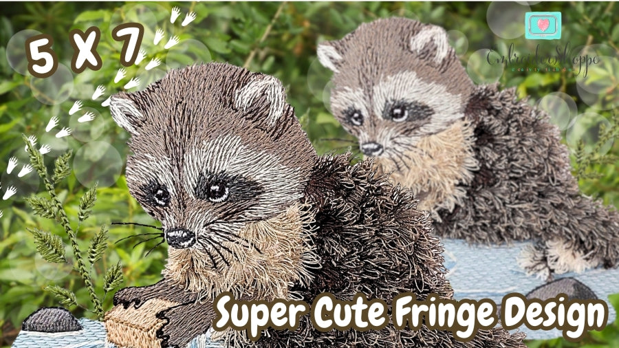 5 x 7 Walter Raccoon