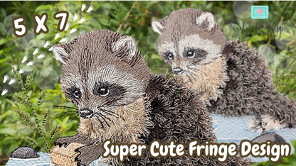 5 x 7 Walter Raccoon