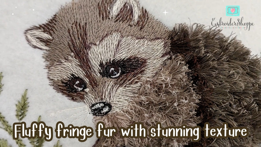 5 x 7 Walter Raccoon