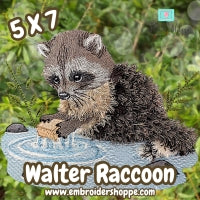 5 x 7 Walter Raccoon