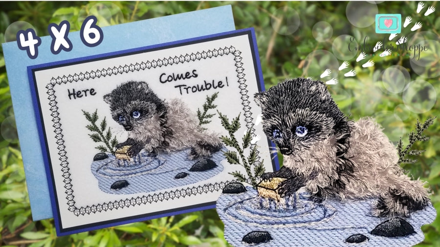 4 x 6 Walter Raccoon