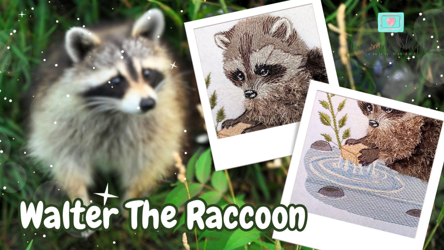 4 x 6 Walter Raccoon