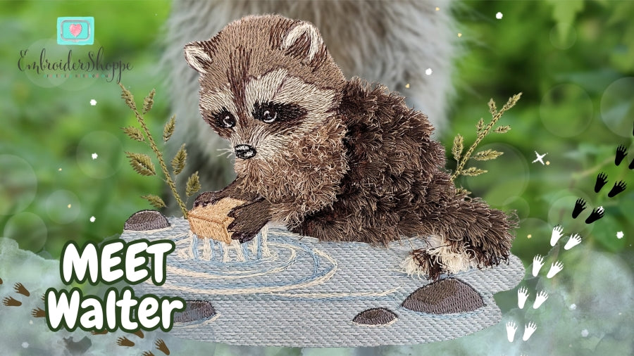 4 x 6 Walter Raccoon