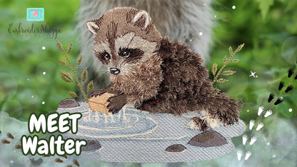 4 x 6 Walter Raccoon