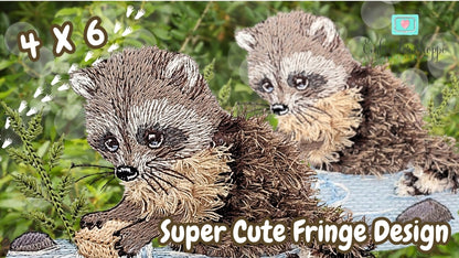 4 x 6 Walter Raccoon
