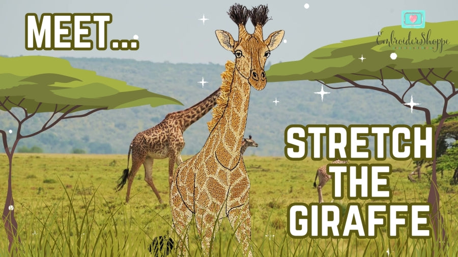6 x 10 Stretch The Giraffe