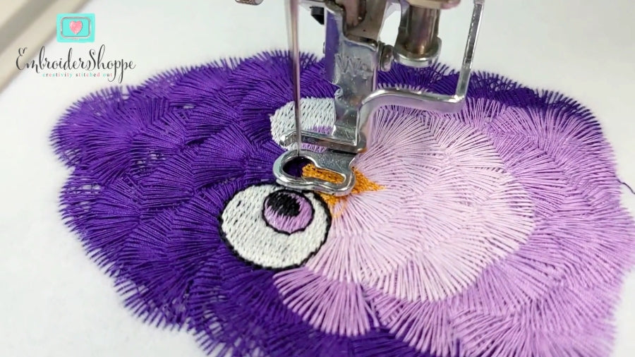 6 x 10 Funky Feathers