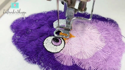 6 x 10 Funky Feathers