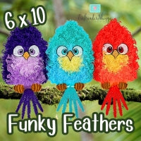 6 x 10 Funky Feathers