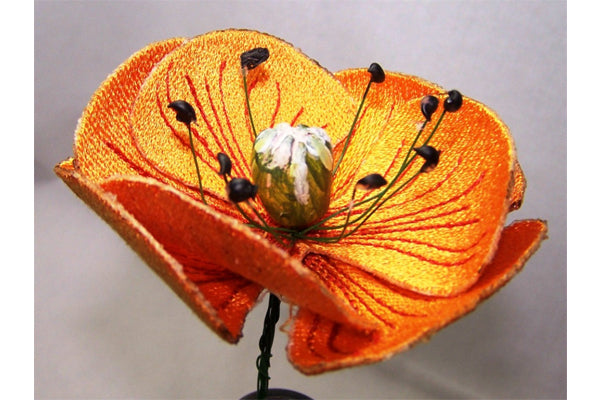 Orange Poppy