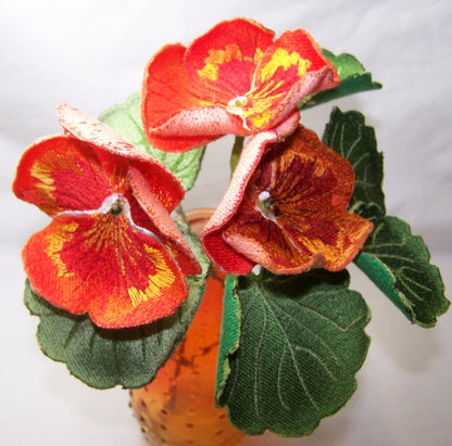 Orange Pansy