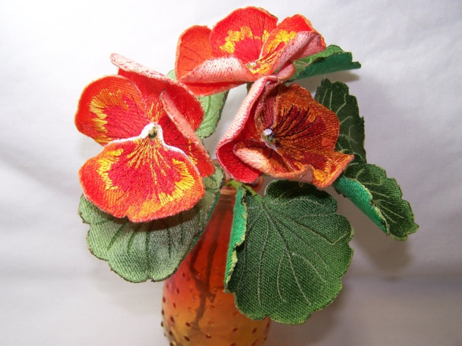 Orange Pansy