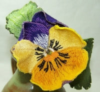 Yellow and Purple Pansy