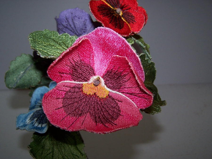 Pink Pansy