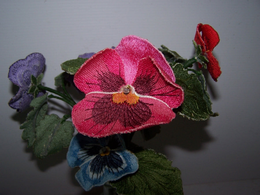 Pink Pansy