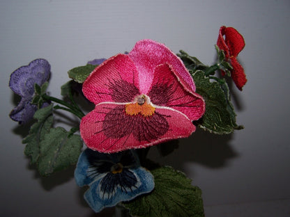 Pink Pansy