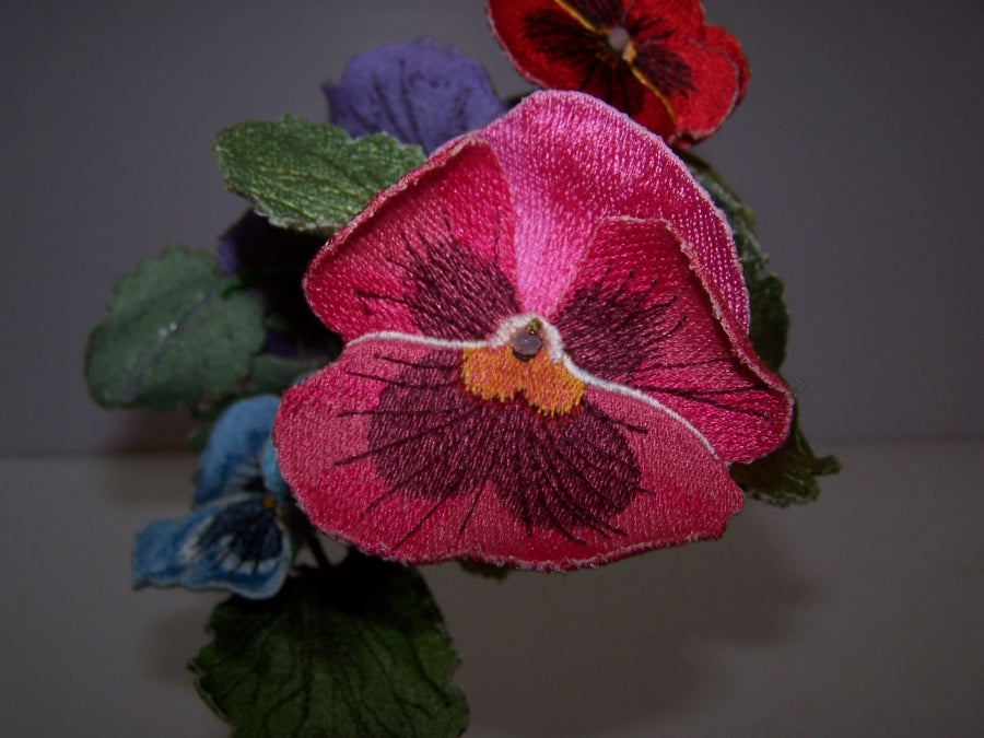 Pink Pansy