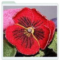 Red Pansy