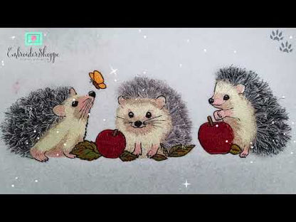 4 x 6 The Hedgies