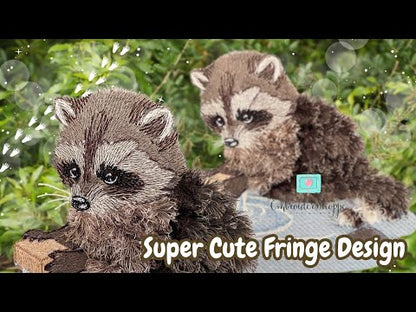 4 x 6 Walter Raccoon